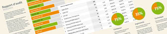 Audit de site